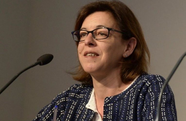 Alcalá de Henares aprueba su Plan de Sostenibilidad Turística para convertir la ciudad en un destino inteligente, seguro y sostenible