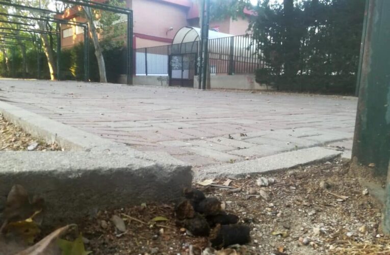 ALCALÁ DE HENARES/ Exigen el refuerzo de la limpieza en el entorno de los colegios