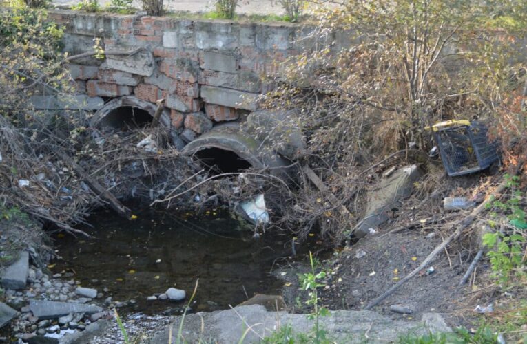 ALCALÁ DE HENARES/ Solicitan acondicionar el entorno del arroyo Camarmilla