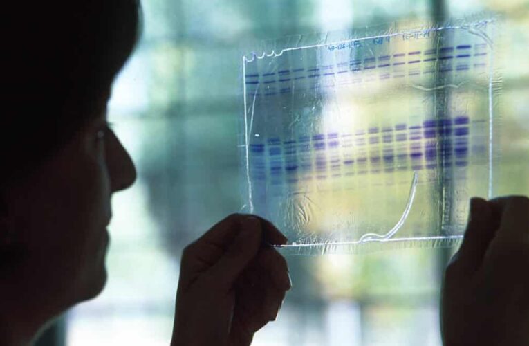 ALCALÁ DE HENARES/ Reconocen la calidad del Servicio de Investigación de la UAH