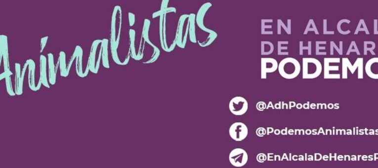 ALCALÁ DE HENARES/ Alertan sobre los gatos callejeros y agradecen el trabajo de las colonias CE