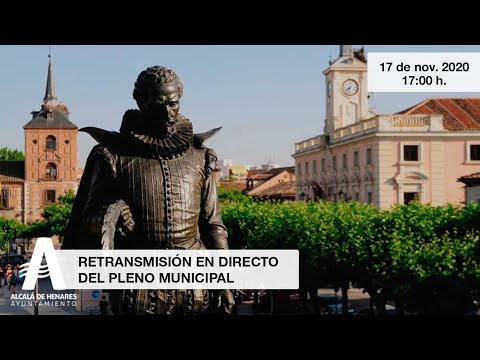 Pleno municipal del Ayuntamiento de Alcalá de Henares 17/11/2020