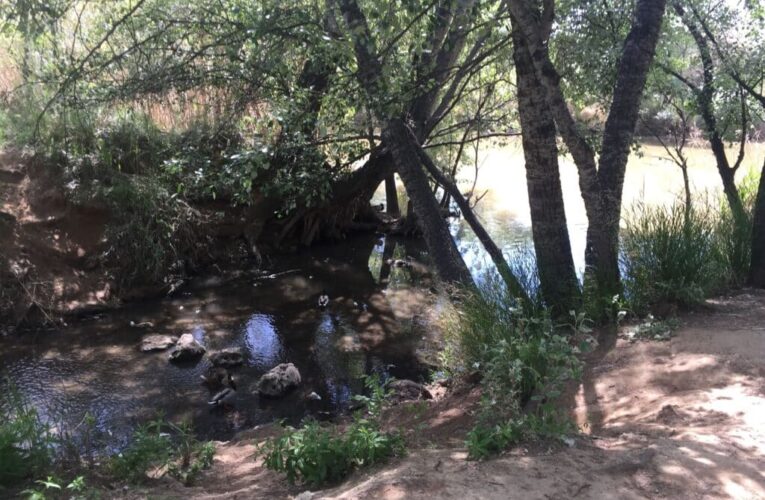 ALCALÁ DE HENARES/ Estas son las propuestas del PP para acercar el Henares a los vecinos