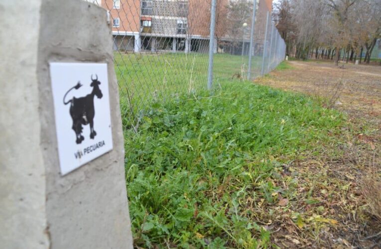 ALCALÁ DE HENARES/ Solicitan paliar la contaminación acústica en Ciudad del Aire