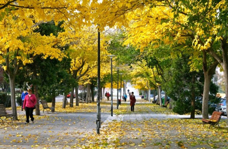 MUNICIPIOS/ Vuelve a aumentar la incidencia en todo el Corredor del Henares