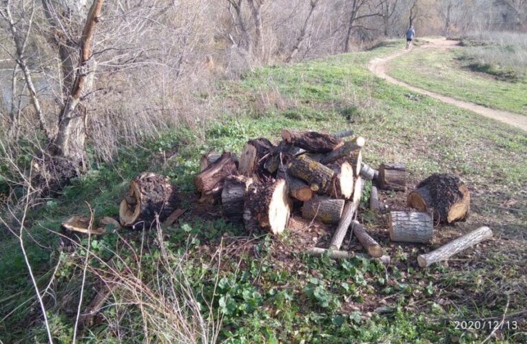 OPINIÓN/ Asociación Vecinal El Val: “¿Integrar el río en la ciudad o llevar la ciudad al río?”