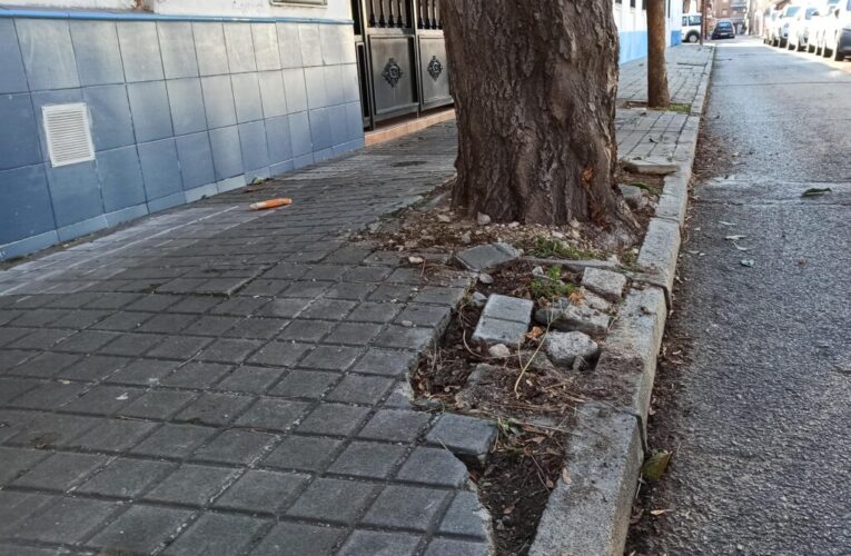 ALCALÁ DE HENARES/ Piden acondicionar el entorno de la calle Azucena y Paseo de la Alameda