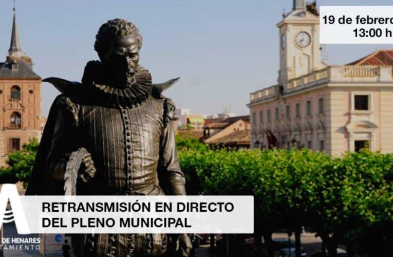 Pleno municipal online (19/02/2021)