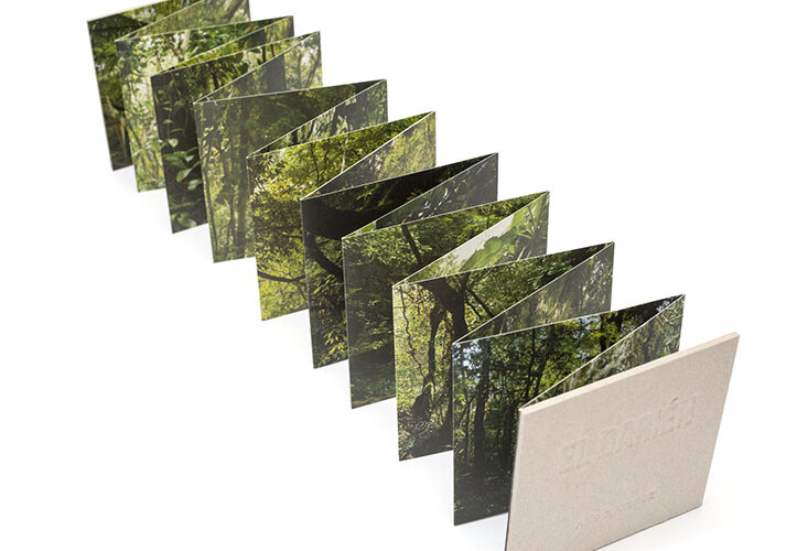 Alcalá acogerá este mes de abril nuevas exposiciones de Asís G. Ayerbe en el Antiguo Hospital de Santa María La Rica