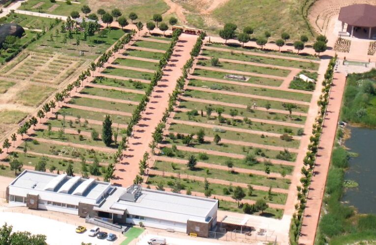ALCALÁ DE HENARES/ El Botánico de la UAH albergará cactus mexicanos en peligro de extinción