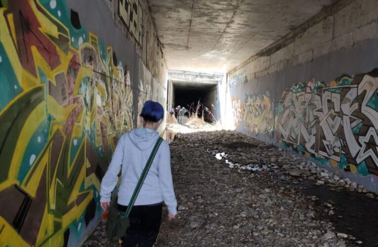 ALCALÁ DE HENARES/ Denuncian que Arroyo Camarmilla se ha convertido en un “vertedero”