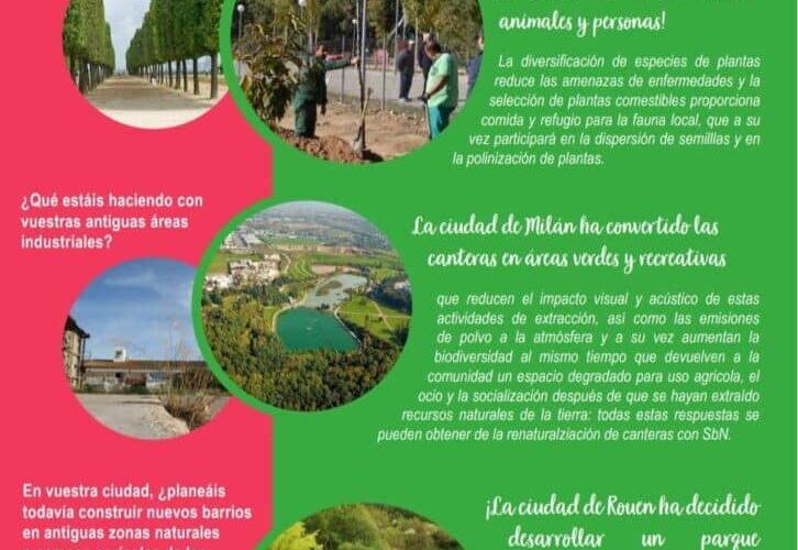 ALCALÁ DE HENARES/ Así es el proyecto del Bosque Comestible en la Isla del Colegio