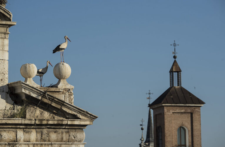ALCALÁ DE HENARES/ Arranca una nueva ruta de educación ambiental para mayores
