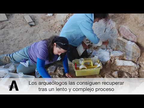 Visita la ciudad romana de Complutum en Alcalá De Henares