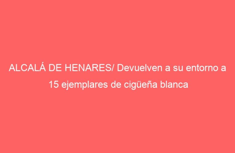 ALCALÁ DE HENARES/ Devuelven a su entorno a 15 ejemplares de cigüeña blanca