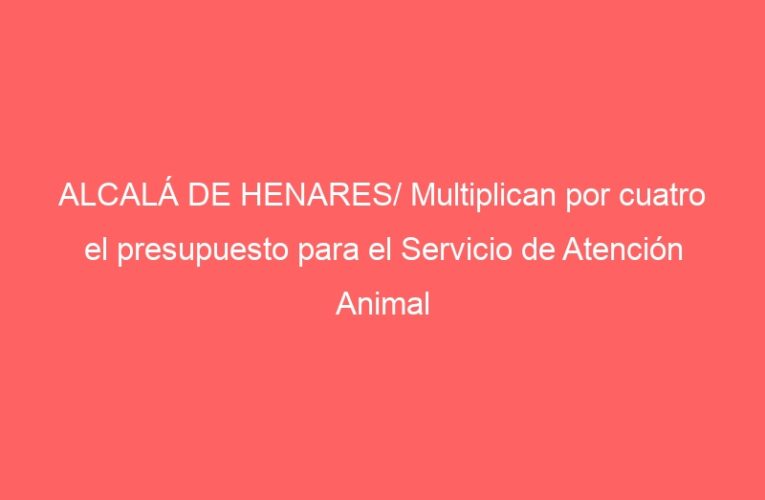 ALCALÁ DE HENARES/ Multiplican por cuatro el presupuesto para el Servicio de Atención Animal
