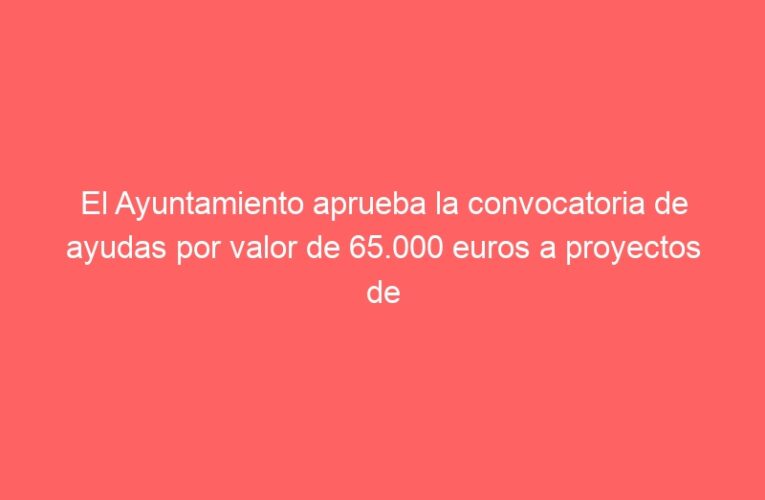 El Ayuntamiento aprueba la convocatoria de ayudas por valor de 65.000 euros a proyectos de Cooperación Internacional