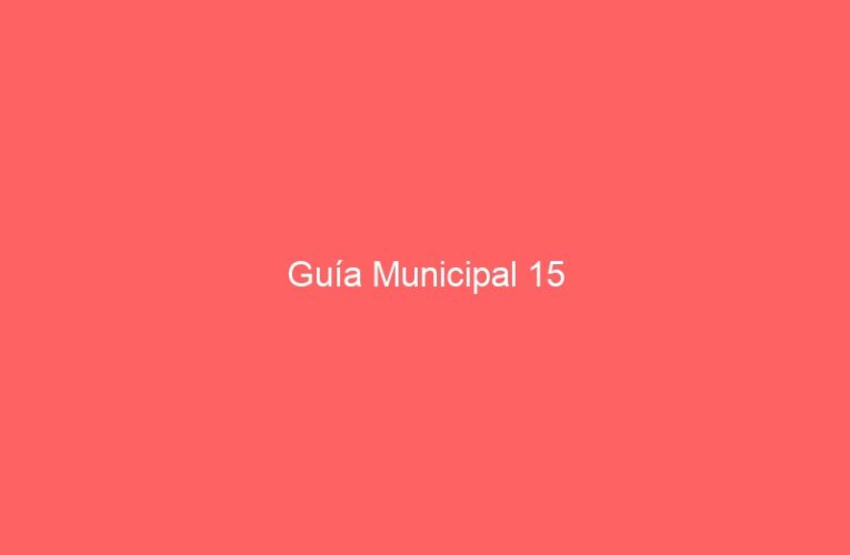 Guía Municipal 15