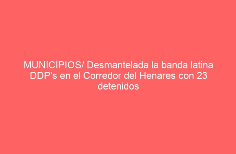 MUNICIPIOS/ Desmantelada la banda latina DDP’s en el Corredor del Henares con 23 detenidos