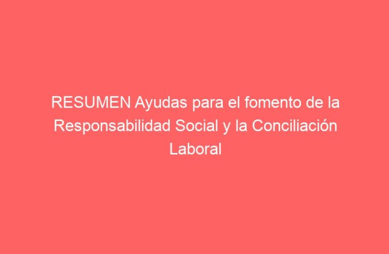 RESUMEN Ayudas para el fomento de la Responsabilidad Social y la Conciliación Laboral