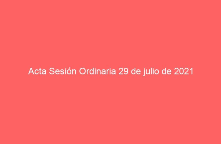 Acta Sesión Ordinaria 29 de julio de 2021