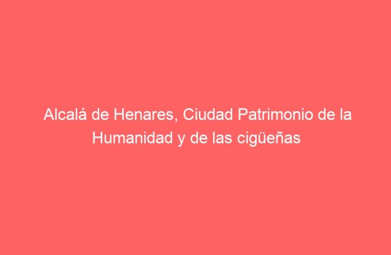 Alcalá de Henares, Ciudad Patrimonio de la Humanidad y de las cigüeñas