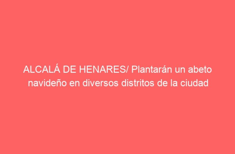 ALCALÁ DE HENARES/ Plantarán un abeto navideño en diversos distritos de la ciudad