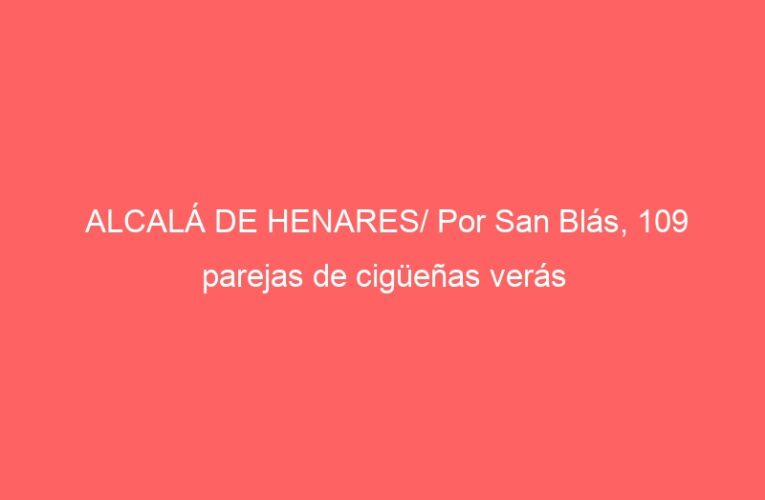 ALCALÁ DE HENARES/ Por San Blás, 109 parejas de cigüeñas verás