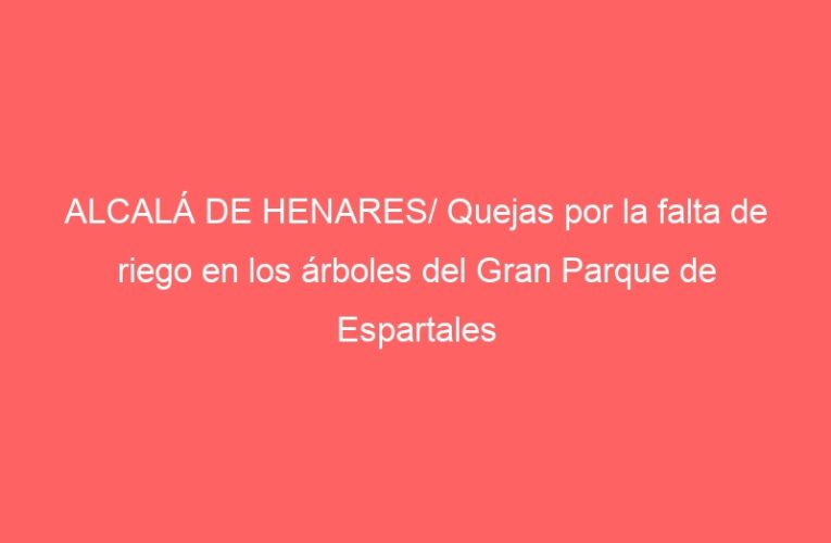 ALCALÁ DE HENARES/ Quejas por la falta de riego en los árboles del Gran Parque de Espartales