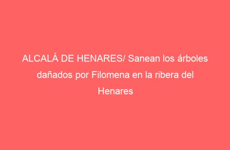 ALCALÁ DE HENARES/ Sanean los árboles dañados por Filomena en la ribera del Henares