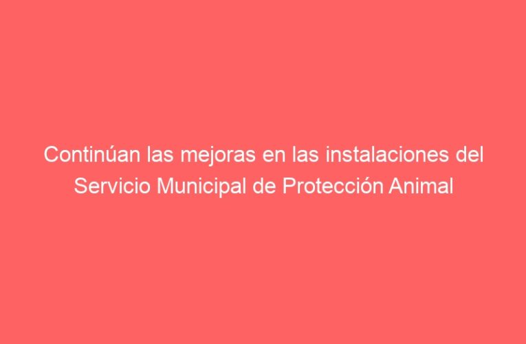 Continúan las mejoras en las instalaciones del Servicio Municipal de Protección Animal
