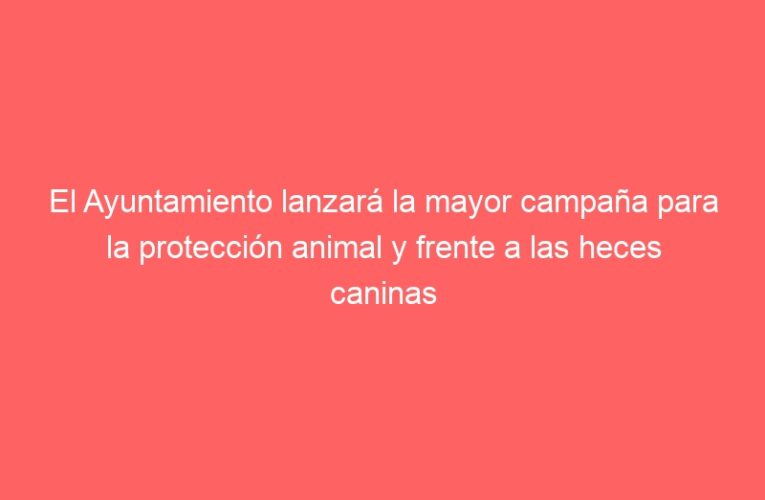 El Ayuntamiento lanzará la mayor campaña para la protección animal y frente a las heces caninas en la vía pública