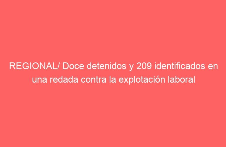 REGIONAL/ Doce detenidos y 209 identificados en una redada contra la explotación laboral