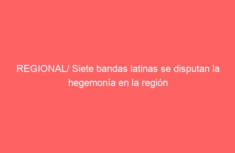 REGIONAL/ Siete bandas latinas se disputan la hegemonía en la región
