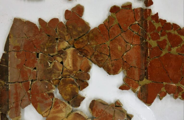 Los últimos trabajos de restauración de La Casa de los Grifos en la Ciudad Romana de Complutum revelan la existencia de pinturas de gran valor arqueológico