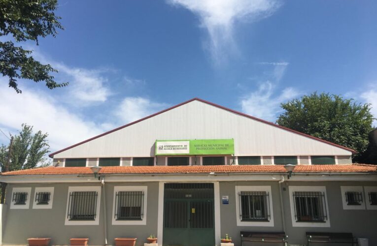 Alcalá de Henares se adhiere al Programa VioPet para la protección de los derechos de los animales y apoyar a las víctimas de violencia machista