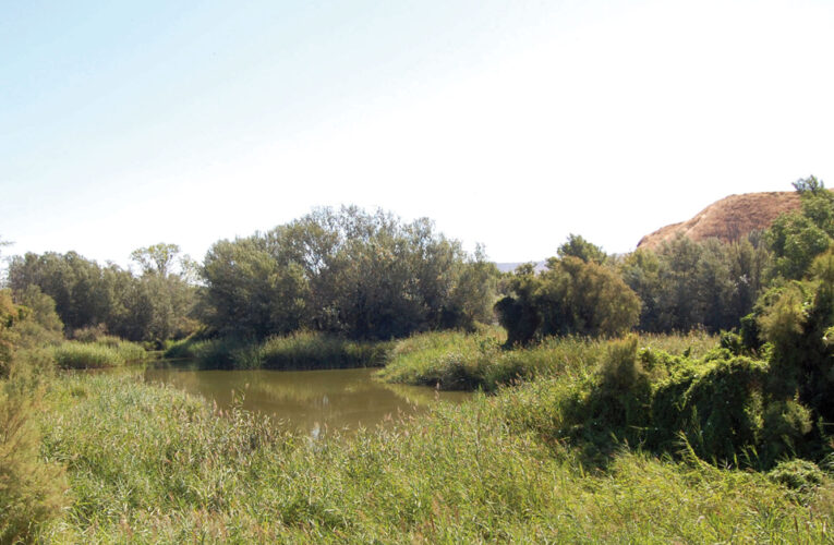 El Ayuntamiento presenta los nuevos talleres y actividades de educación ambiental