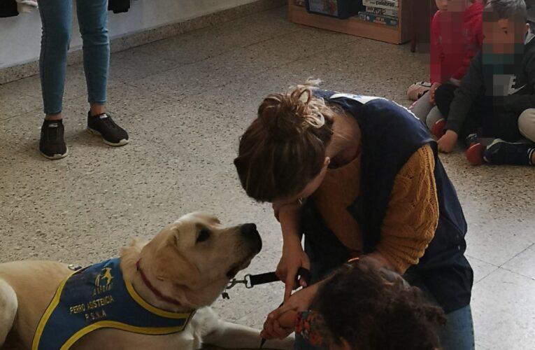 El Ayuntamiento y la Asociación Dog Point organizan charlas de sensibilización escolar sobre perros de asistencia para personas con TEA