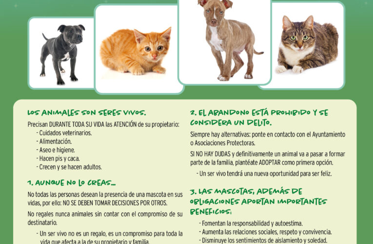 El Ayuntamiento de Alcalá recuerda la importancia de la tenencia responsable en la adopción de animales