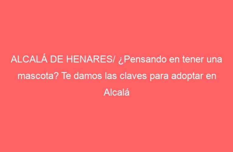 ALCALÁ DE HENARES/ ¿Pensando en tener una mascota? Te damos las claves para adoptar en Alcalá