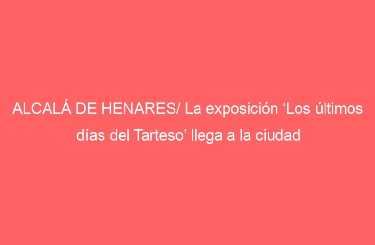 ALCALÁ DE HENARES/ La exposición ‘Los últimos días del Tarteso’ llega a la ciudad