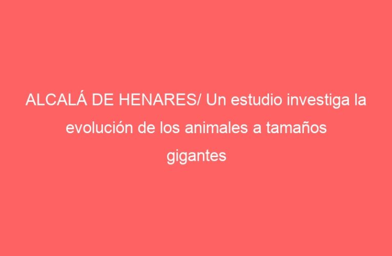 ALCALÁ DE HENARES/ Un estudio investiga la evolución de los animales a tamaños gigantes
