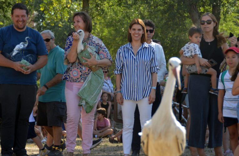 La Huerta del Obispo de Alcalá de Henares acoge un año más la tradicional suelta de cigüeñas