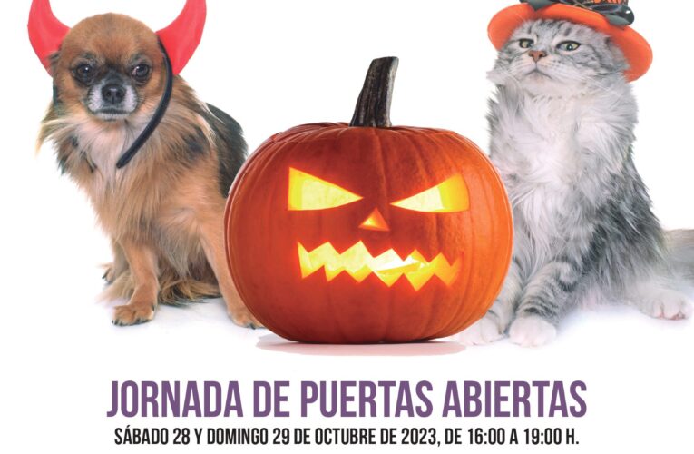 Jornada de puertas abiertas en el CIMPA el fin de semana del 28 y 29 de octubre