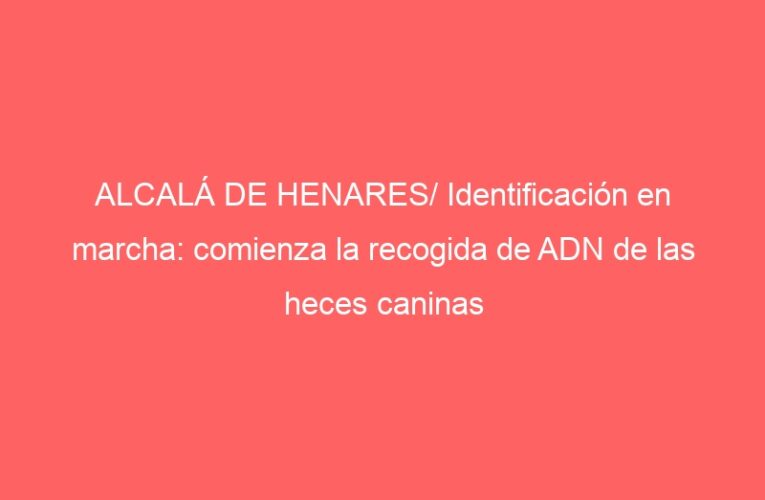 ALCALÁ DE HENARES/ Identificación en marcha: comienza la recogida de ADN de las heces caninas