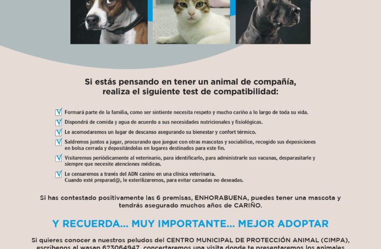 Esta Navidad, nueva campaña para concienciar sobre la tenencia responsable de animales de compañía