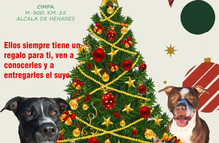 Jornada navideña de puertas abiertas en el Centro Municipal de Protección Animal