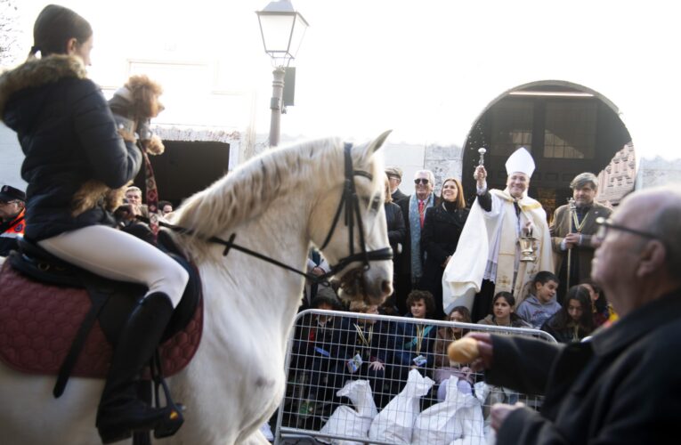 Alcalá de Henares celebra la festividad de San Antón por todo lo alto