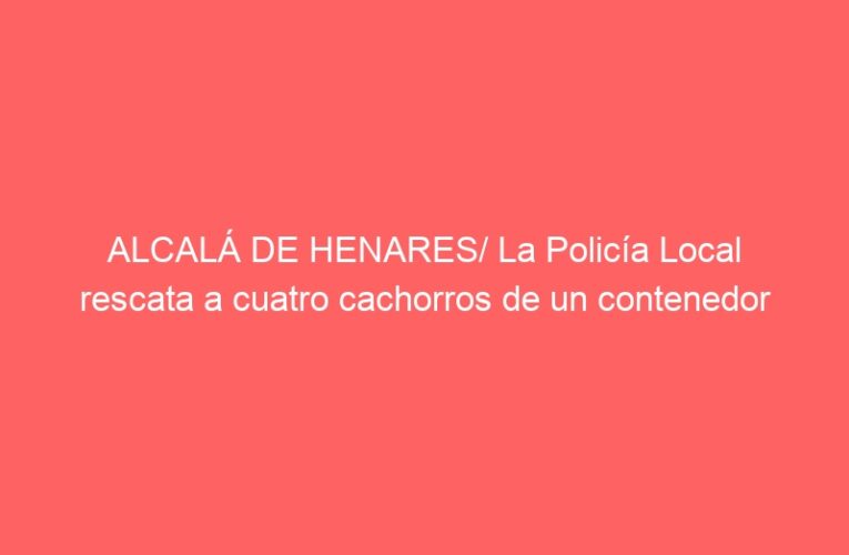 ALCALÁ DE HENARES/ La Policía Local rescata a cuatro cachorros de un contenedor