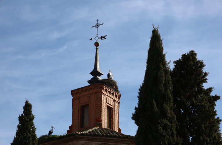 El Ayuntamiento de Alcalá retoma la ruta de las cigüeñas en febrero para celebrar San Blas